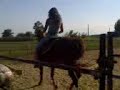 La cry a cavallo