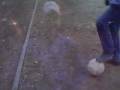 videos de brn cr7 messi r10