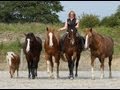 NeighFlix: Synchronicity
