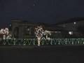 Play christmas Lights