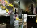 3GP Video Format