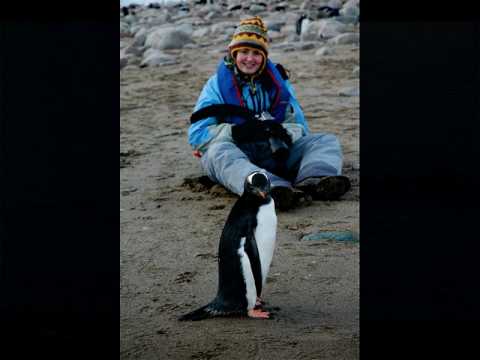 ANTARCTICA--Neko Harbor, Antarctic ...