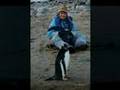 ANTARCTICA-Neko-Harb