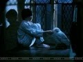 videos de Harry James Potter Tribute
