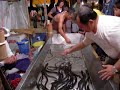 ウナギ