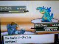 Pokemon Wifi Battle #69: Zaire vs. {SF}NAMBIRI (Narrated)