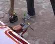 My First Flight View Video