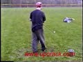 Getting hit by Golf Balls Compilation Getting hit by Golf Balls Compilation