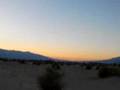 Devil's cornfield in Death Valley