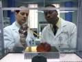 YouTube - Better off Ted 1x01 trailer #1 (HQ)
