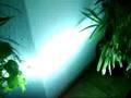videos de platina HID xenon 6000ºK