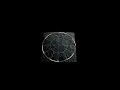 Lunar Reconnaissance Oribiter