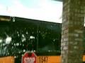 school bus egging