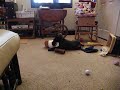 20091225 007.avi
