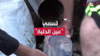 عين الدلبة.. معلم تراثي قديم ومصدر مياه محلاة لأهالي مخيم الفوار في الخليل المحتلة