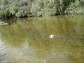 Barco RC reciclado