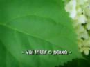 Merdas Originais - Merdokê 2 - Vai Fritar o Peixe Merdas Originais - Merdokê 2 - Vai Fritar o Peixe