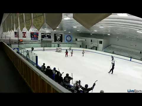 #81 in black against NE Blades