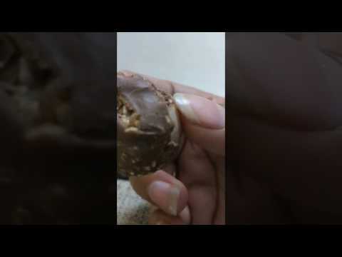 Ferrero Rocher - Chocolate Review