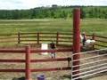 Savannah and her pony
