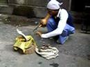 india-snake-charmer.html
