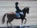 3 meilleurs Poneys allemands freudenberg 2007