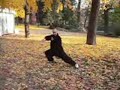 junsheng taiji