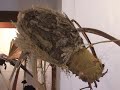 jornades artístiques mes del riu algar   parte i 