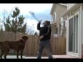 mikey-powell.html