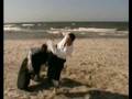 Pokaz Aikido