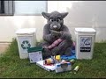 Rattus recycles Rattus recycles