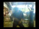 The Welders Dance The Welders Dance