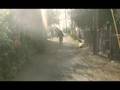 videos de Deurvoer
