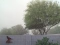 Winter Dust Storm