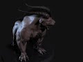 Amazon ( 3D Modeling )
