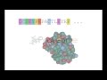 Video for proteome