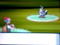 Catching A Staravia (Lv.53) Catching A Staravia (Lv.53)