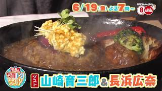 発見！タカトシランド