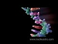 DNA