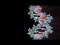 DNA