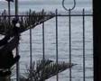 videos de one morning to vergine maria 3
