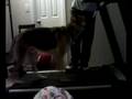 videos de Wrigley on a treadmill