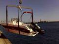 BLULINE BOAT - IL VARO