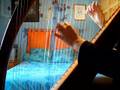 videos de Silvestrig