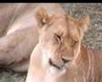 Assistir ao v�deo