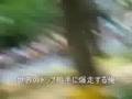 seriku