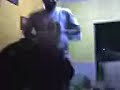santi busca novia