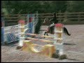 toffee spring bsja showjumping mix