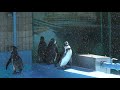 フンボルトペンギン (神戸市立 王子動物園) 2019年9月15日