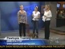 Pawtopia Dog Training - Jumping and Chewing